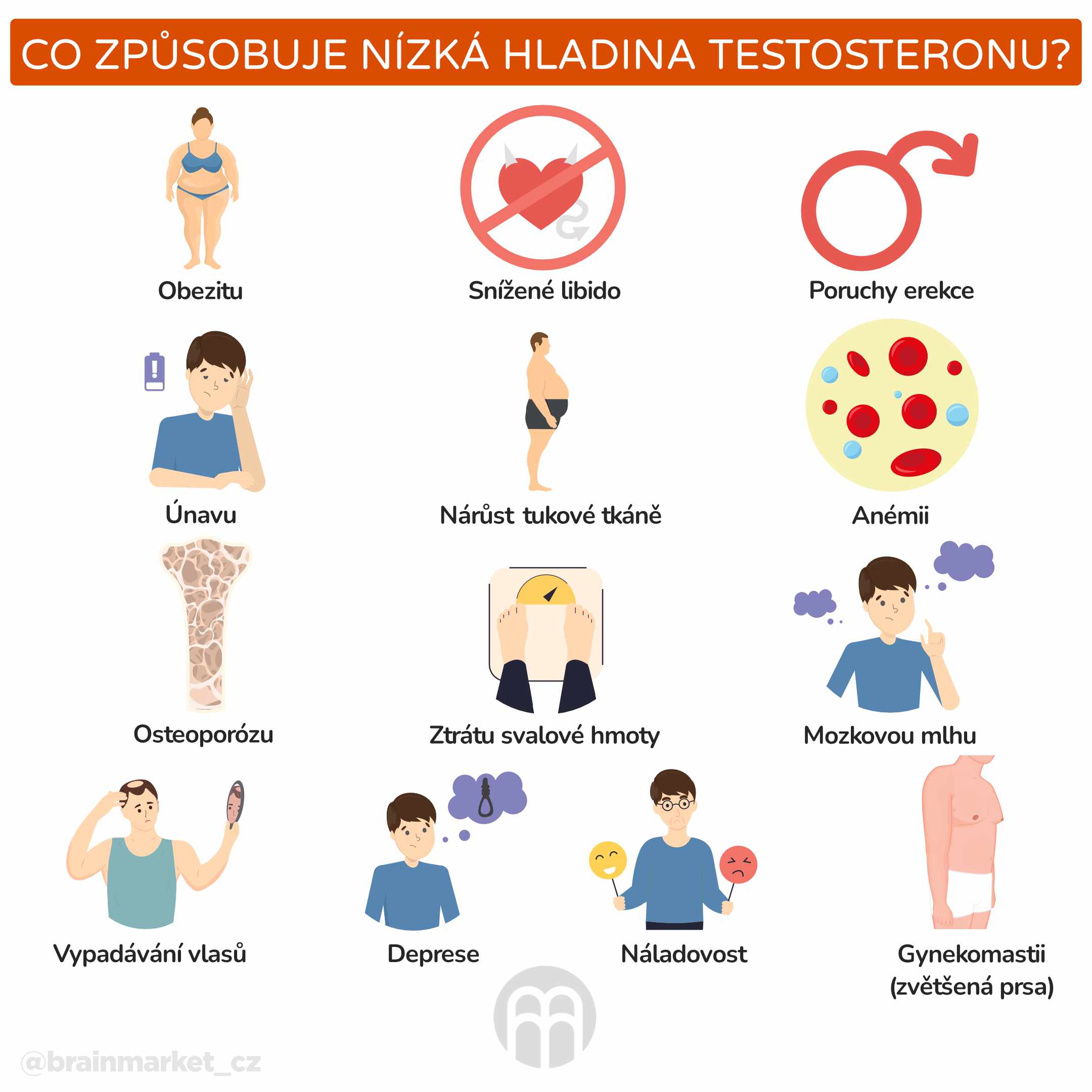 Co způsobuje nízká hladina testosteronu_ _infografika_cz (1)